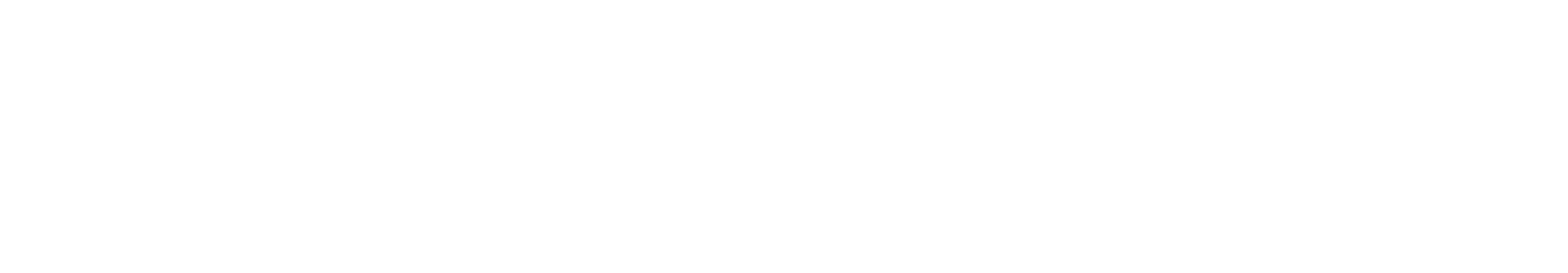 TOKYO SYUKAKUSAI Bar