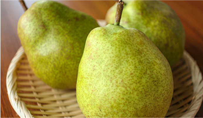  山形県アンテナショップ 「おいしい山形プラザ」